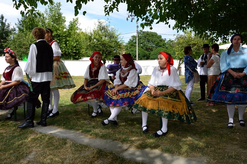 DSC_0430 (Medium).JPG